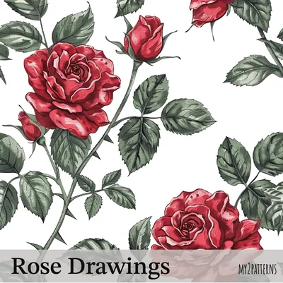 Rose Drawings pattern