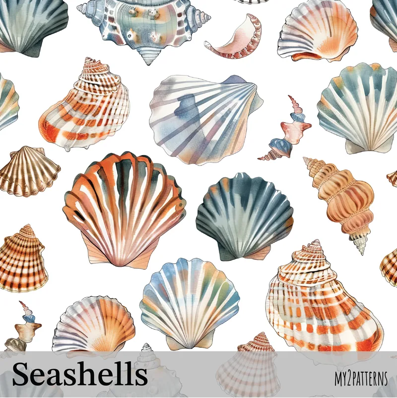 Seashells pattern